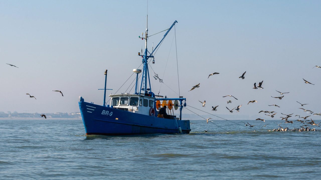 Liepper & Sons | Fine Seafood Selections